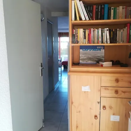 Appartement T2 En Rdj Grande Terrasse Et Garage 3 Min De La Agde