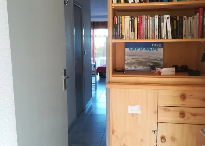 Appartement T2 En Rdj Grande Terrasse Et Garage 3 Min De La Agde